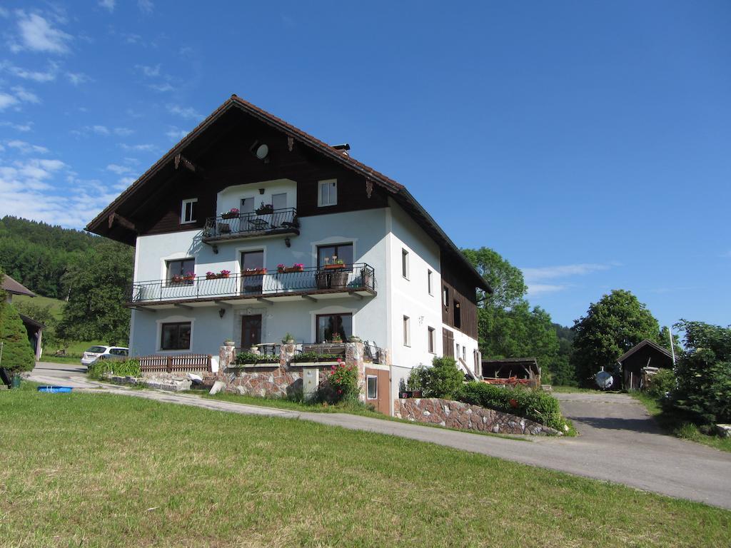 Bauernhof Schink Villa Zell am Moos Exterior photo